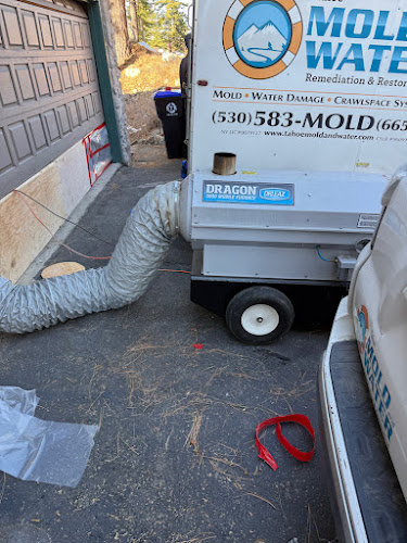 Tahoe Mold and Water