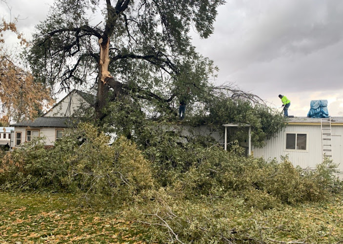 Elite Restoration Inc - Sun Valley