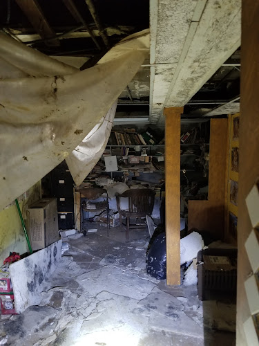 Elmont Mold Removal & Inspections