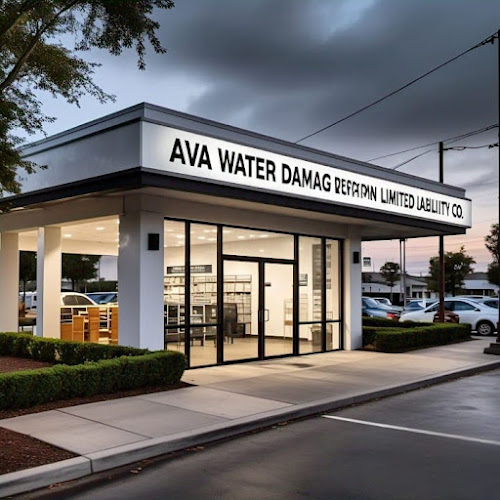 AVA WATER DAMAGE RESTORATION LIMITED LIABILITY CO.