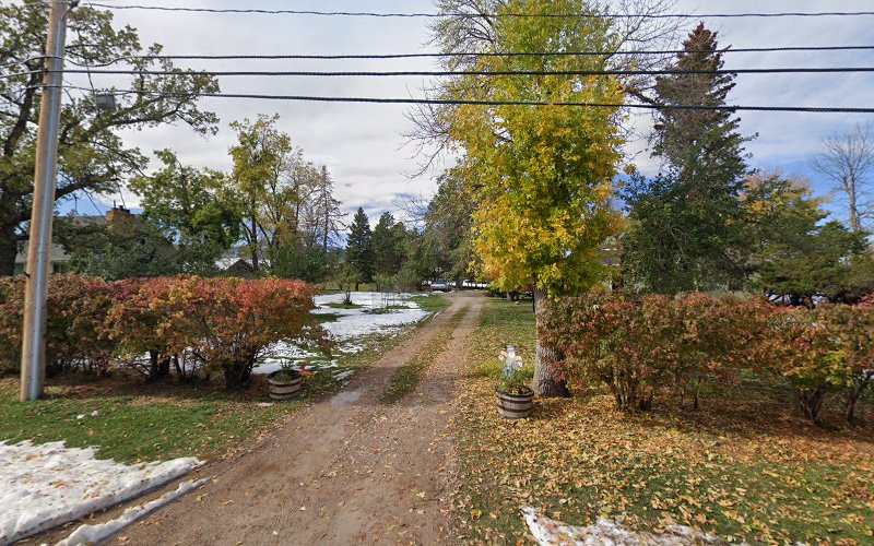 Pro-Steam Carpet & Upholstery