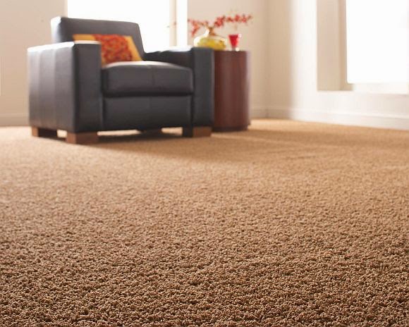 Safe-Dry Carpet Cleaning of Franklin