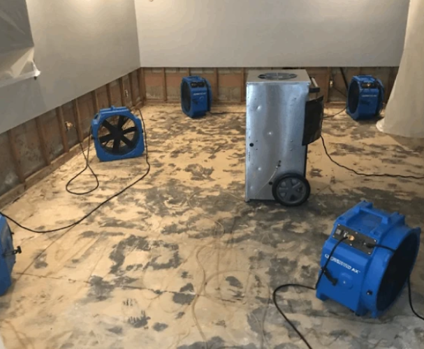 Trusted Water damage restoration Service