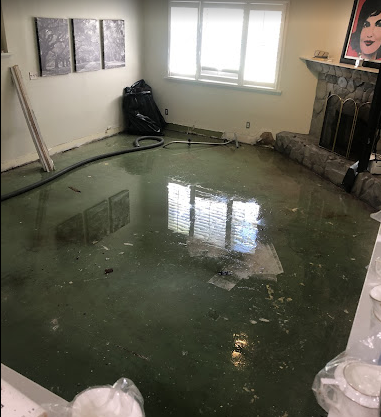 Mold Inspection And Testing Expert