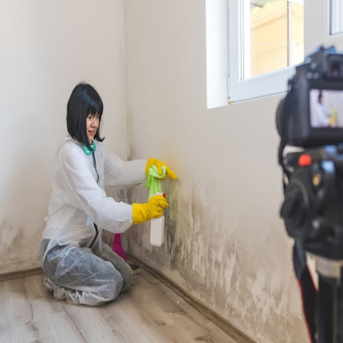 Mold Experts of Akron