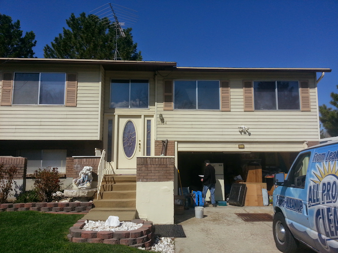 All Pro Disaster Cleaning