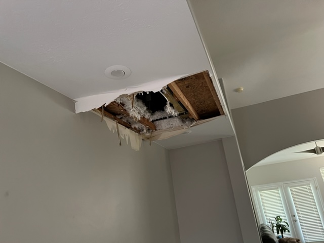 Elements Restoration & Repairs