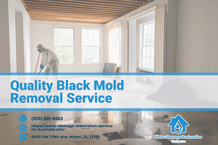 Miami Water Damage Restoration Services Inc