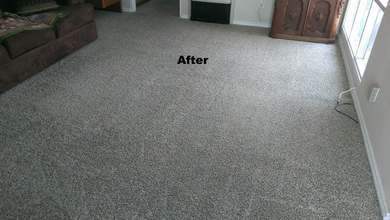 Carpet Scene Investigator