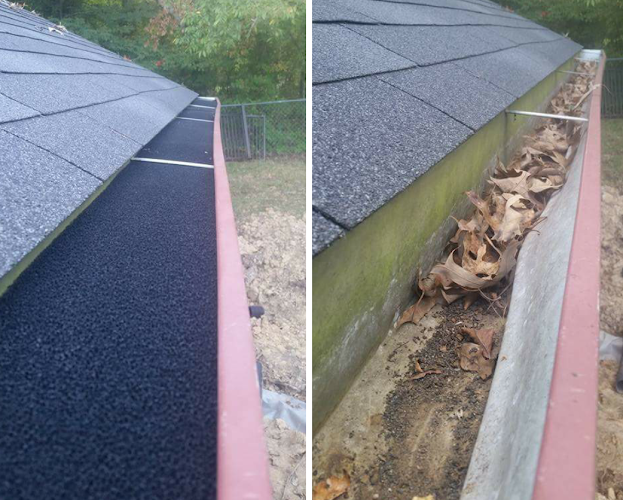 Patches Pest PLUS LLC