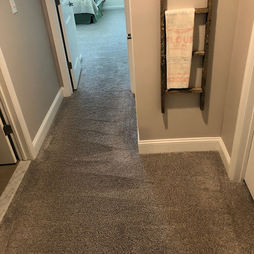 Superior Choice 100% Organic Dry Carpet Cleaning and Upholstery