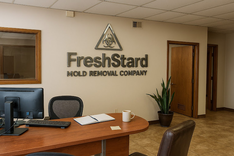 FreshStard Mold Removal Company San Antonio, TX