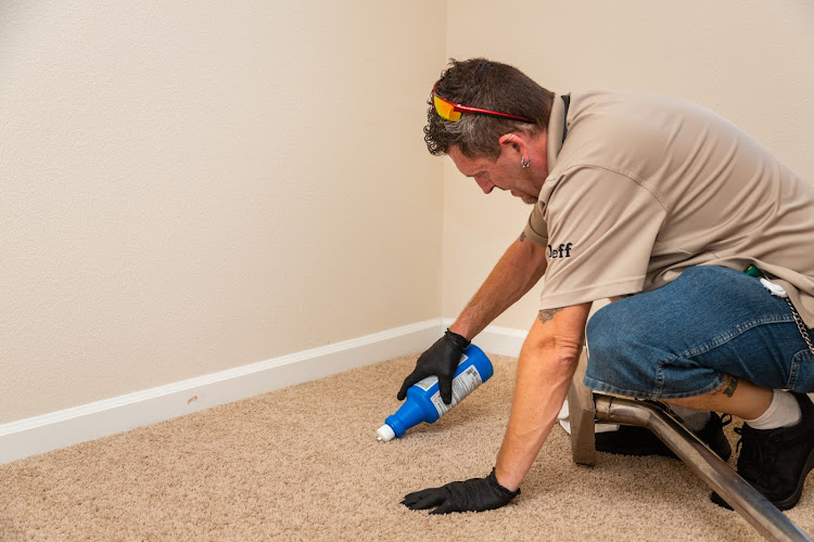 Blue Star Carpet Cleaning