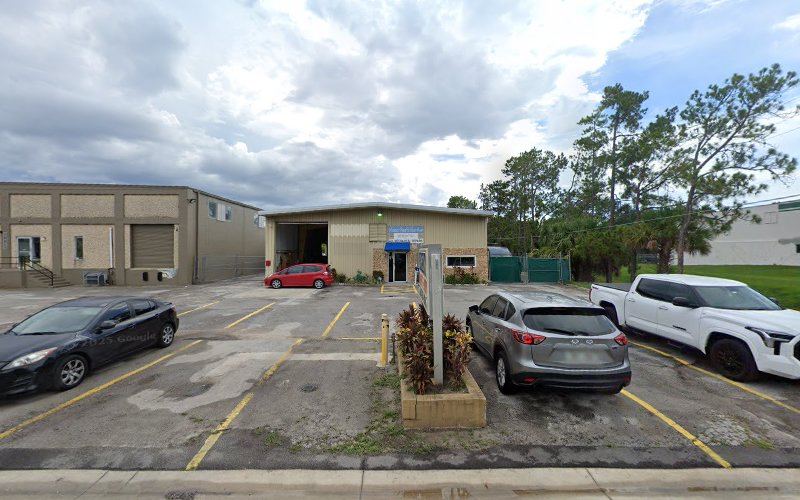 Tree Experts Orlando