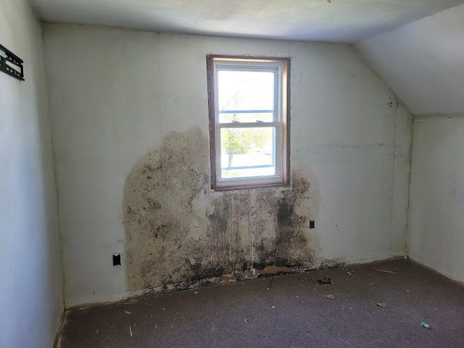 Ahold of Mold Environmental