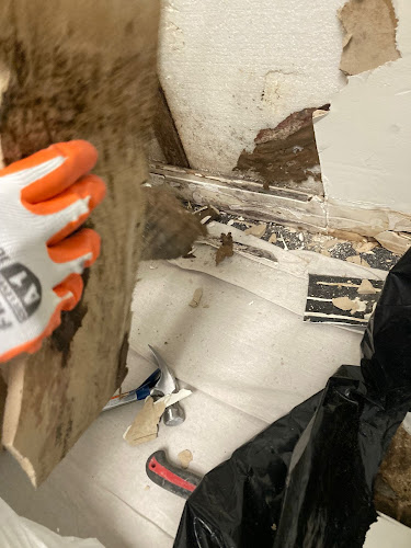 Mold Water Remediation