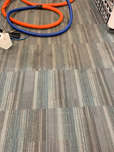 Professional Carpet & Upholstery Cleaning