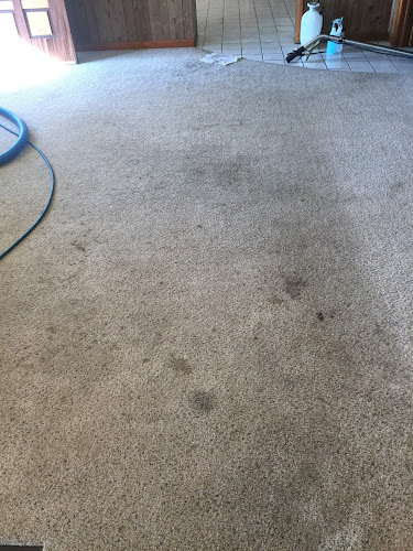 PRECISION CARPET & AIR DUCT CLEANING