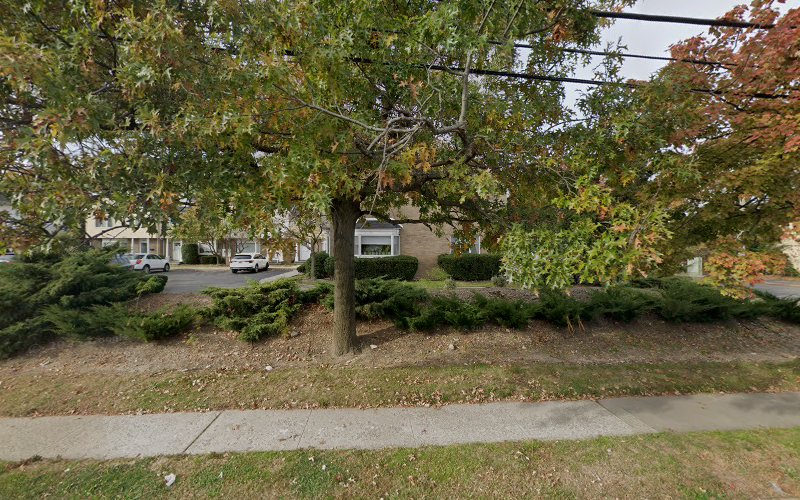 Cedarhurst Mold Removal & Inspections