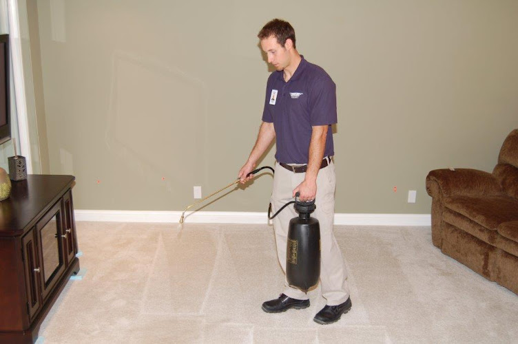 Lincoln Carpet Cleaning
