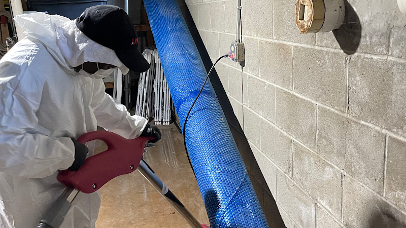 CleanSpace Disinfecting, Inc