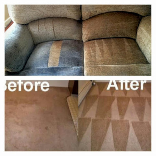 Wolfsteam Cleaning & Restoration