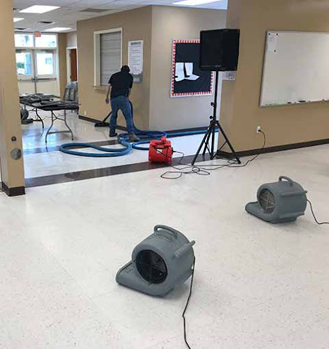 The Experts - Mold Removal