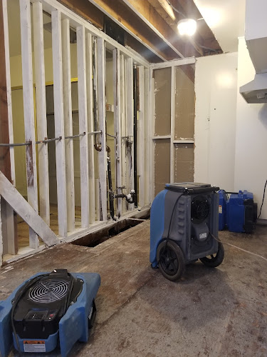 All-American Mold Remediation and Consulting, LLC.