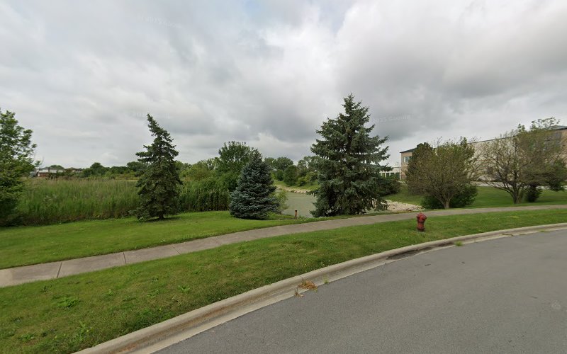 Trusted Mold Services