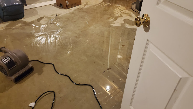 Advance Restoration Remediation