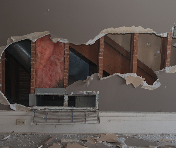 Orchid Water Damage Repair