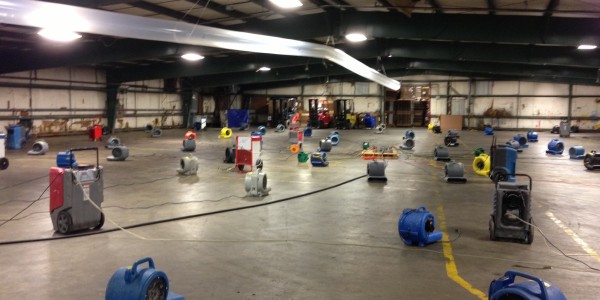 Drywizard Restoration & Drywall Inc.