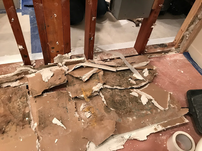 Eco Flood & Mold Remediation