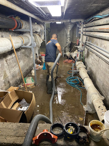 SERVPRO of Norwood, West Roxbury