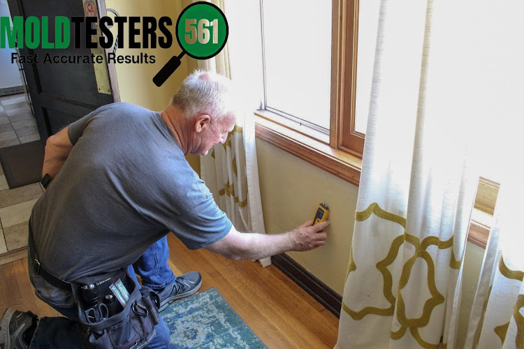 Mold Testers 561