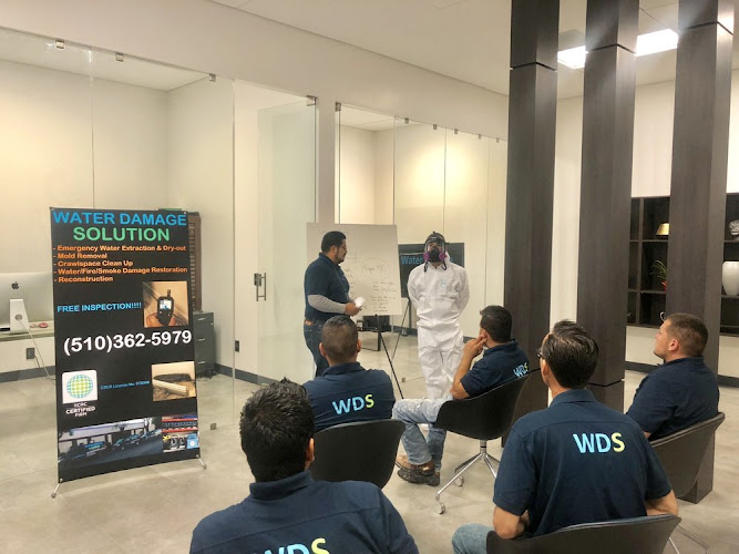 Water Damage Solution