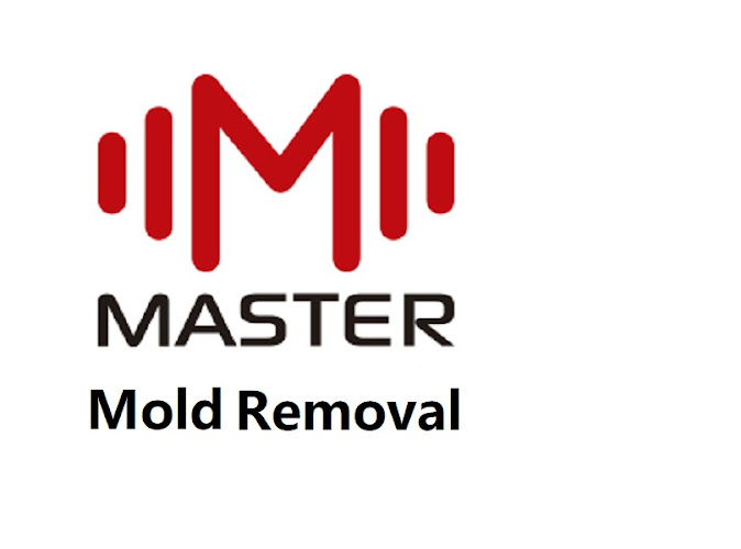 Master Mold removal
