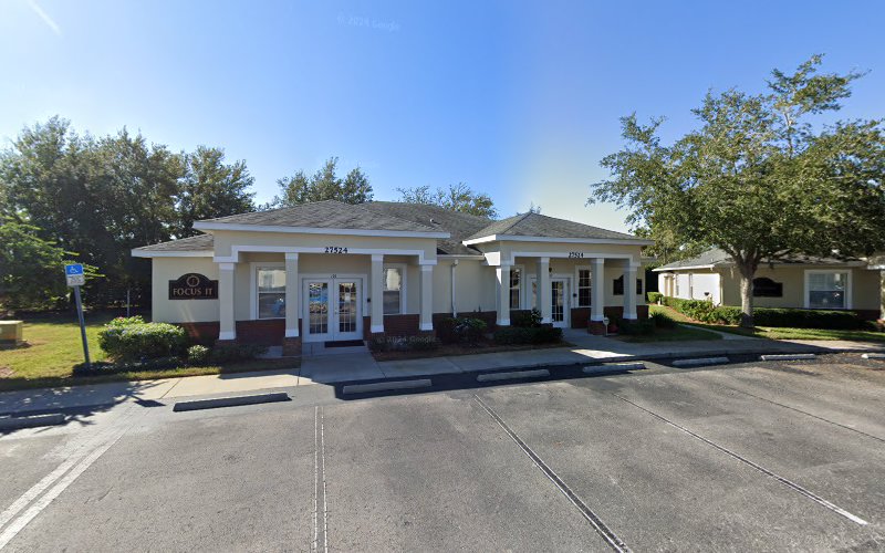 TampaBayMold.net- Wesley Chapel