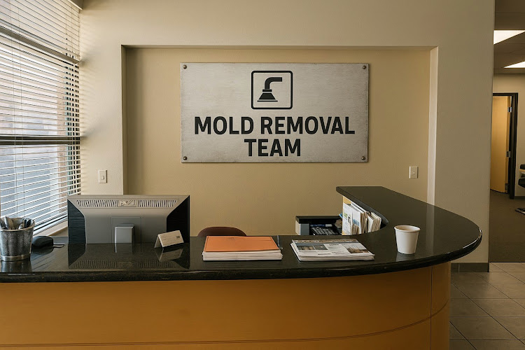 Mold Removal Team - Chicago