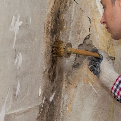 Marvelen Mold Remediation