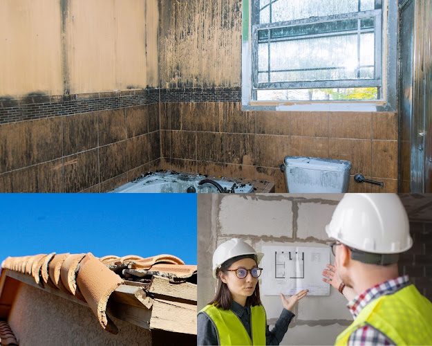 H20 Mold Restoration Gurus of Lake Forest