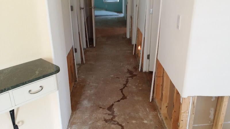 Prime Mold Inspections - Mold Detection Company