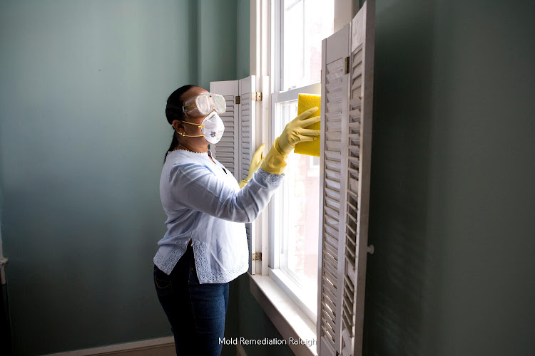 Raleigh NC Mold Testing and Remediation