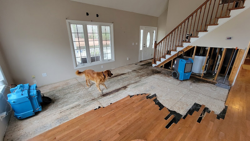 Francisco's Cleaning & Restoration Service, Inc.