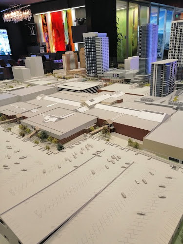 Star City Water Damage Co