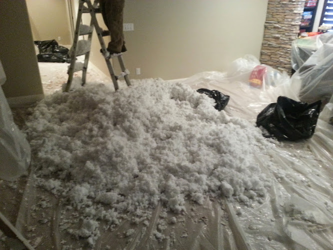 Most Wanted Disaster Services