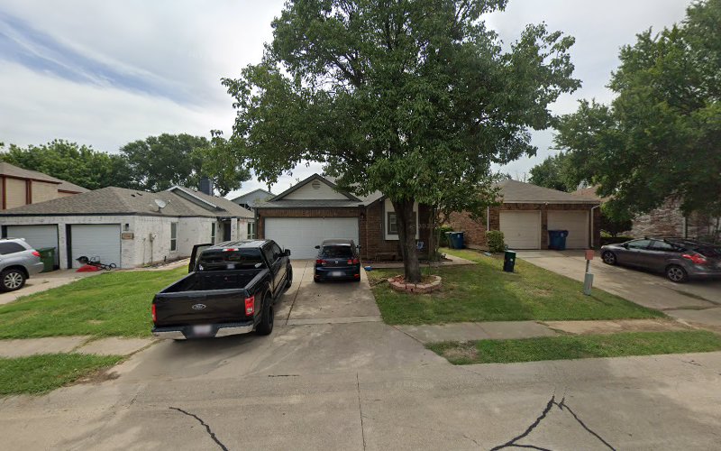 Mold Busters Lewisville