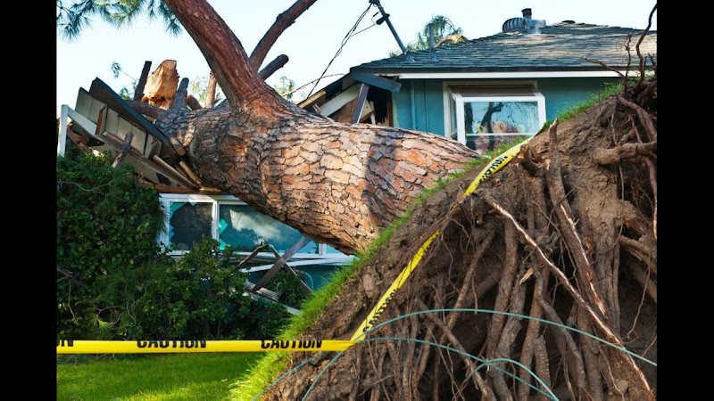 Disaster Cleanup Services