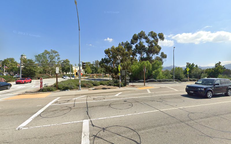 The Water Damage Expert