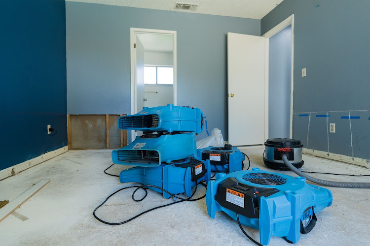 Elements Water Damage & Flood Repair Austin